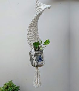 Spiral plant hanger